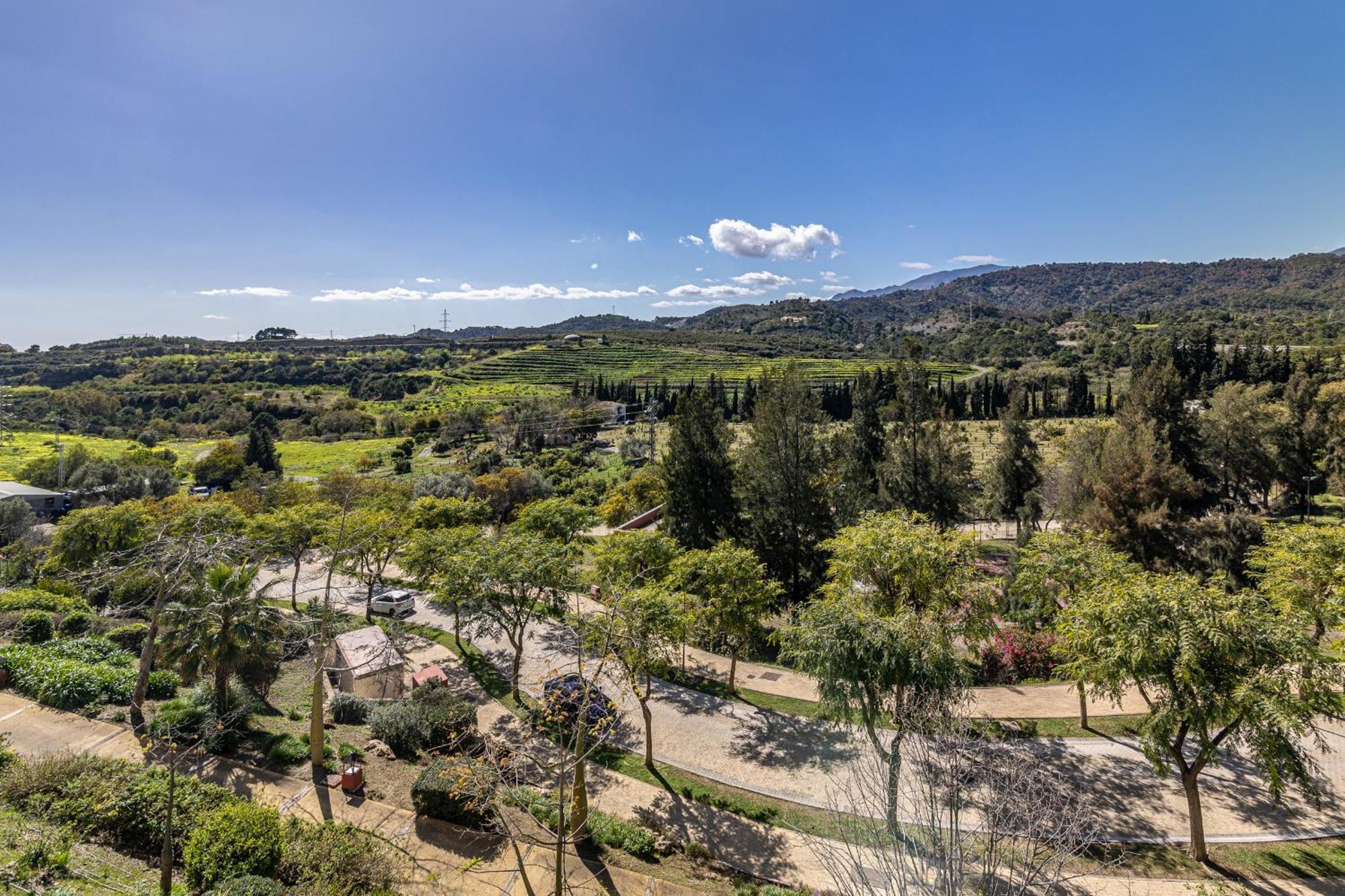 Rentitspain Apartamento Charming Gym, Jacuzzi Y Balcon Estepona Dış mekan fotoğraf